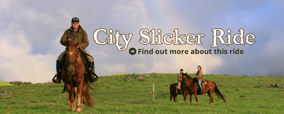 City Slicker Ride